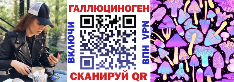 Псилоцибиновые грибы Psilocybine cubensis Гай